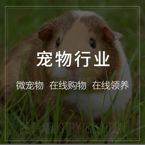 烟台OA系统开发的移动办公与云端协同功能